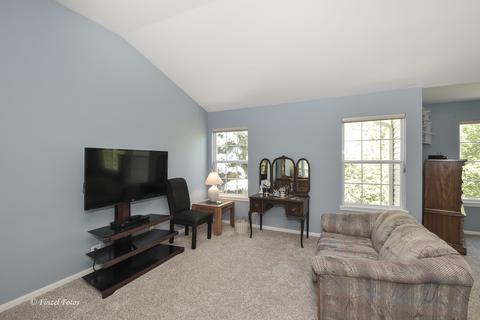 6 Rose Hill Ct, Algonquin, IL 60102 photo 11