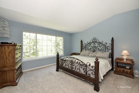 6 Rose Hill Ct, Algonquin, IL 60102 photo 10