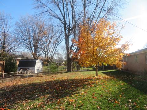 204 S Blair Dr, Normal, IL 61761 photo 6