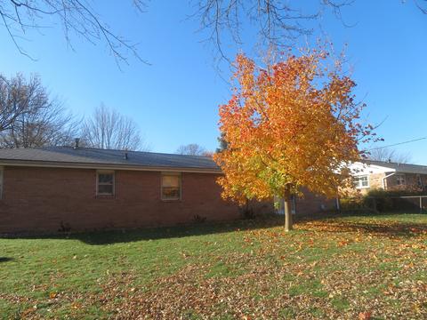 204 S Blair Dr, Normal, IL 61761 photo 4