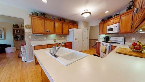 13621 Rockefeller Cir, Plainfield, IL 60544 photo 12