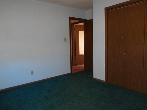 1104 E White St, Clinton, IL 61727 photo 29