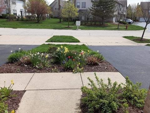 2152 Yale Cir, Hoffman Estates, IL 60192 photo 2