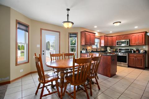 487 Locust Ln, Peotone, IL 60468 photo 7