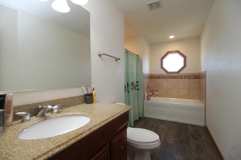 487 Locust Ln, Peotone, IL 60468 photo 16
