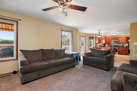 487 Locust Ln, Peotone, IL 60468 photo 6
