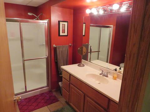 412 Feeney Dr, Minooka, IL 60447 photo 50