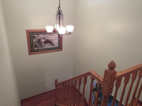 412 Feeney Dr, Minooka, IL 60447 photo 30