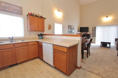 1985 Mountain Rd, Morris, IL 60450 photo 8