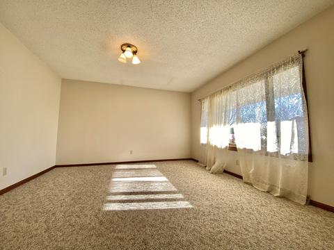901 Logan St, Chenoa, IL 61726 photo 4
