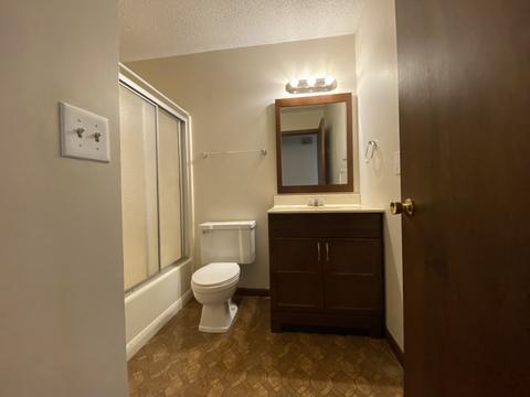901 Logan St, Chenoa, IL 61726 photo 14