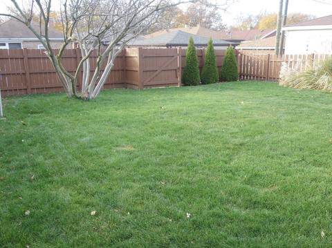 10026 S Artesian Ave, Chicago, IL 60655 photo 24
