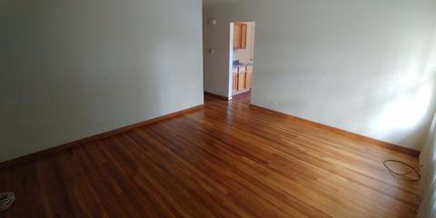 16424 Wolcott Ave, Markham, IL 60428 photo 4