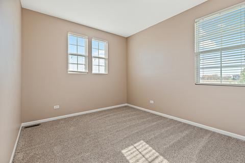 25428 Springview Ct, Plainfield, IL 60586 photo 23