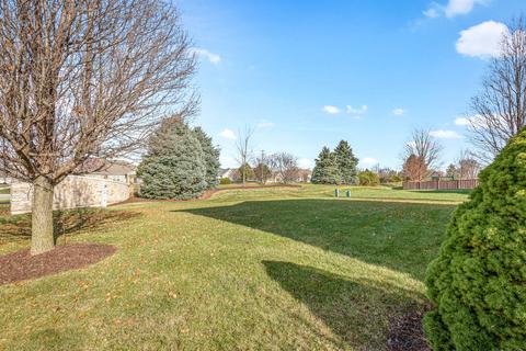 25428 Springview Ct, Plainfield, IL 60586 photo 29