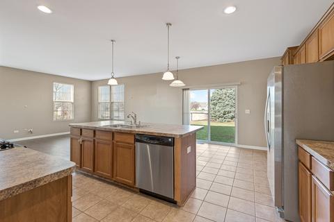 25428 Springview Ct, Plainfield, IL 60586 photo 7