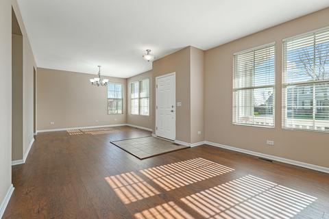 25428 Springview Ct, Plainfield, IL 60586 photo 3
