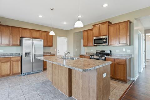 25428 Springview Ct, Plainfield, IL 60586 photo 8