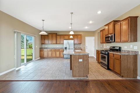 25428 Springview Ct, Plainfield, IL 60586 photo 10