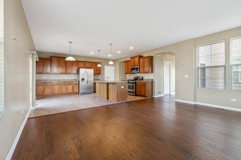 25428 Springview Ct, Plainfield, IL 60586 photo 13