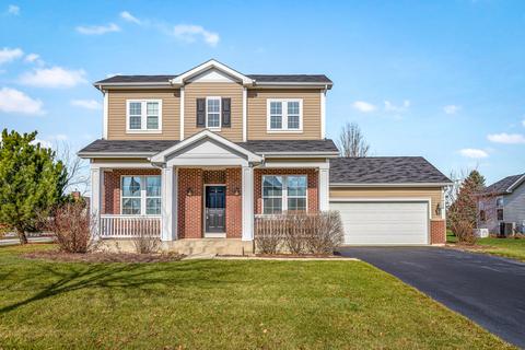 25428 Springview Ct, Plainfield, IL 60586 photo 1