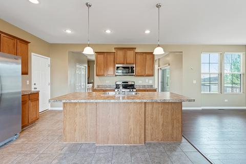 25428 Springview Ct, Plainfield, IL 60586 photo 9