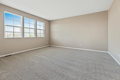 25428 Springview Ct, Plainfield, IL 60586 photo 17