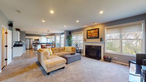 1321 Bison Ln, Hoffman Estates, IL 60192 photo 9