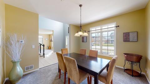1321 Bison Ln, Hoffman Estates, IL 60192 photo 15