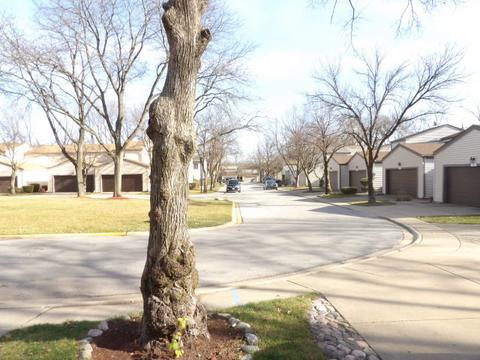 3537 Golfview Dr, Hazel Crest, IL 60429 photo 28