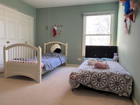 1627 Arquilla Dr, Algonquin, IL 60102 photo 20