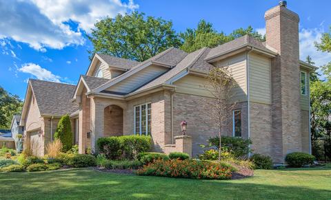 738 E Prairie Ave, Des Plaines, IL 60016 photo 3