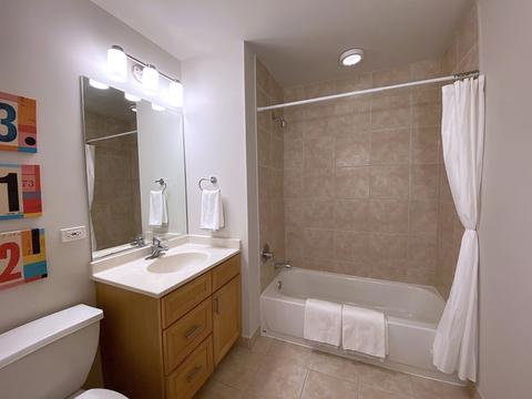41 E 8th St #2107, Chicago, IL 60605 photo 21