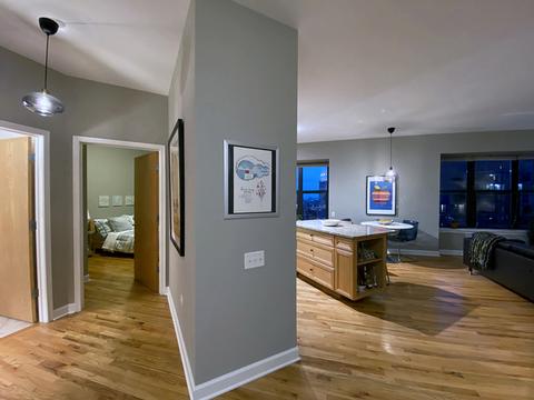 41 E 8th St #2107, Chicago, IL 60605 photo 5