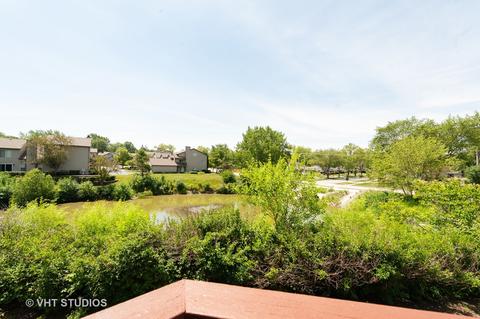 371 Juniper Tree Ct, Hoffman Estates, IL 60169 photo 14