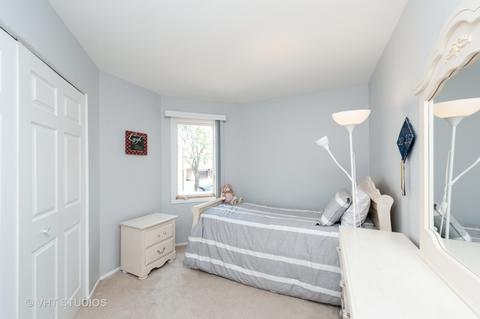 371 Juniper Tree Ct, Hoffman Estates, IL 60169 photo 10