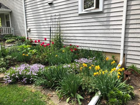 915 Augusta Ave, Elgin, IL 60120 photo 6