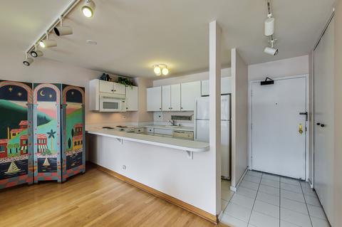 33 E Cedar St #14C, Chicago, IL 60611 photo 6
