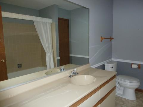 20831 W Peppertree Ct, Plainfield, IL 60544 photo 6