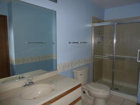 20831 W Peppertree Ct, Plainfield, IL 60544 photo 7