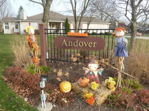 20831 W Peppertree Ct, Plainfield, IL 60544 photo 18