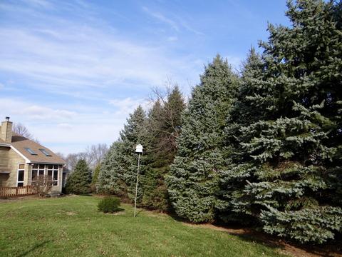 17238 S Honora Dr, Plainfield, IL 60586 photo 42