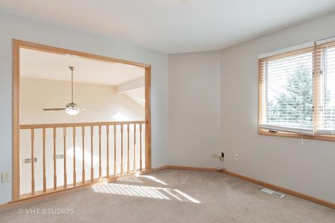 17238 S Honora Dr, Plainfield, IL 60586 photo 20