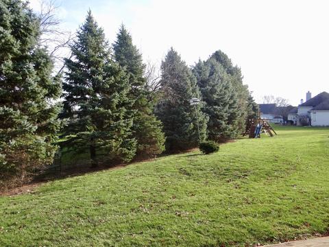 17238 S Honora Dr, Plainfield, IL 60586 photo 44
