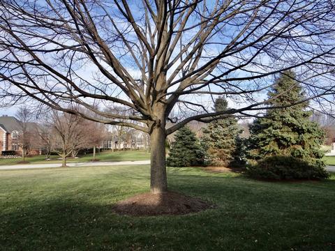 17238 S Honora Dr, Plainfield, IL 60586 photo 36