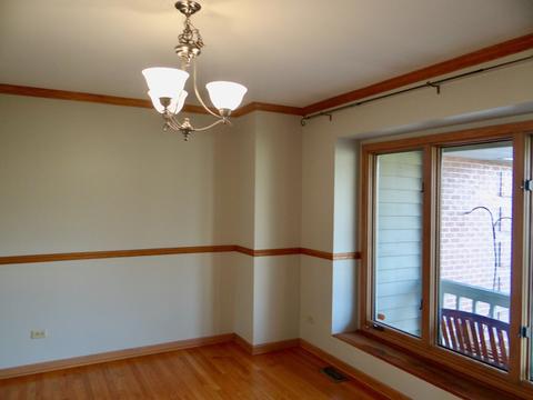 17238 S Honora Dr, Plainfield, IL 60586 photo 19