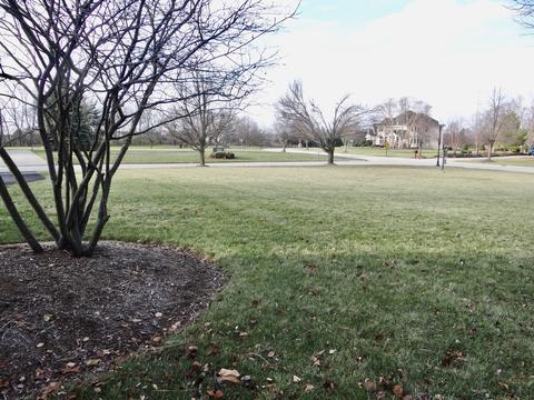 17238 S Honora Dr, Plainfield, IL 60586 photo 37