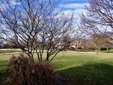 17238 S Honora Dr, Plainfield, IL 60586 photo 39