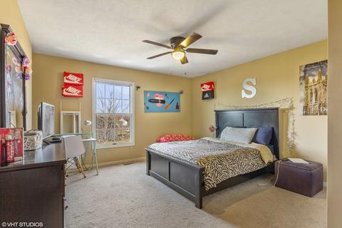 102 N Gadwall Ln, Downs, IL 61736 photo 13
