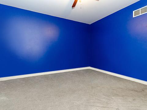 15819 Homan Ave, Markham, IL 60428 photo 22
